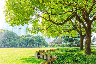 全国生态日背景