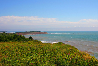 scotia