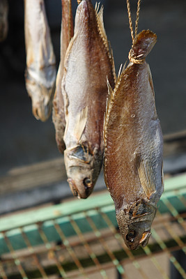 生意饺子