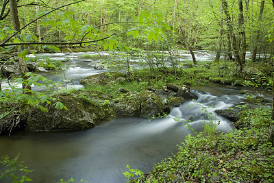 春天小河