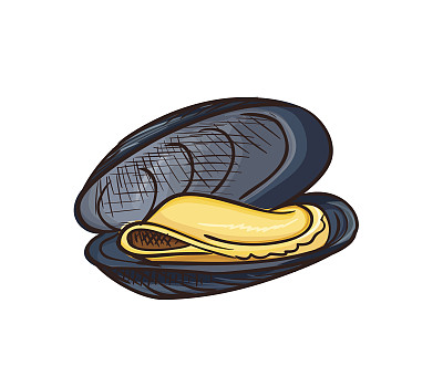 mussels