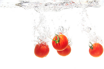 水中番茄