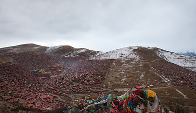 西藏高校