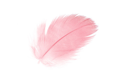 feathers