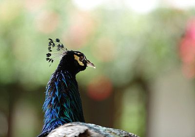 nanyuki