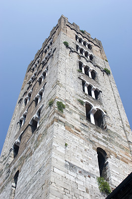 alexander