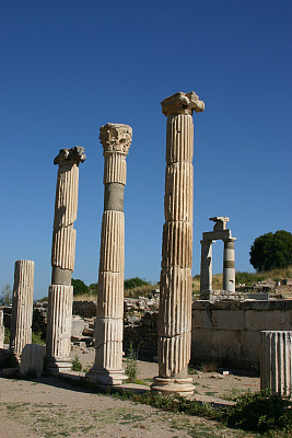 alexander