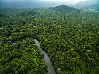 亚马逊雨林