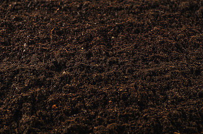 dirt