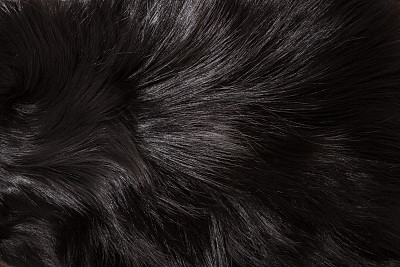 hairs
