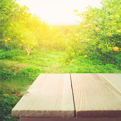 orchard