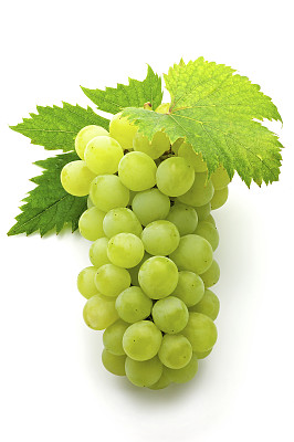 muscat