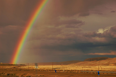 elko