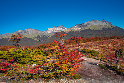 火地群岛