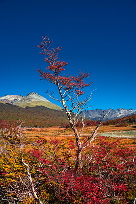 火地群岛