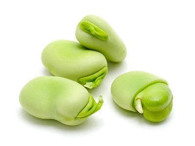 legume