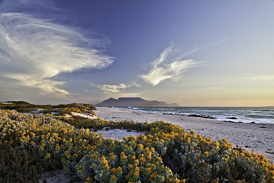 coastal