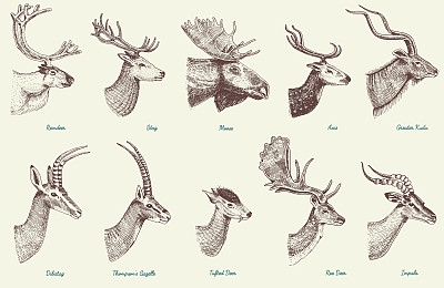 horned