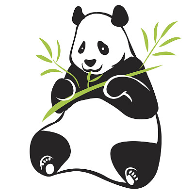 熊猫进食