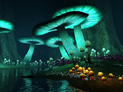 toadstool