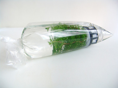 塑料水草