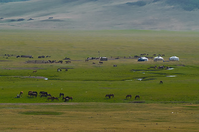 蒙古包,蒙族住宅