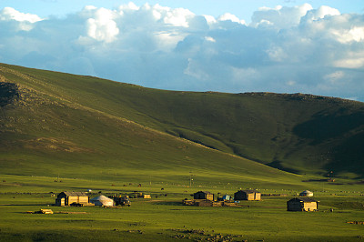 mongol