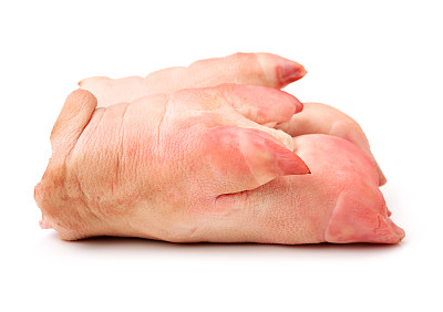 trotter