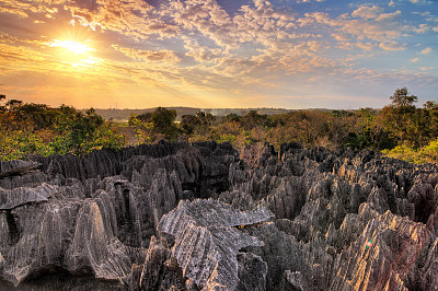 madagascar