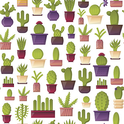 沙漠植物logo