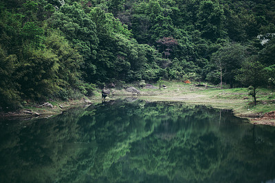 茂密树林与湖泊