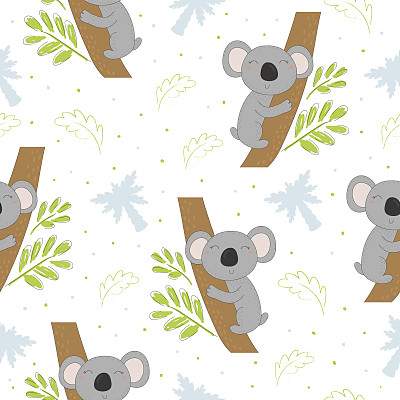 koala