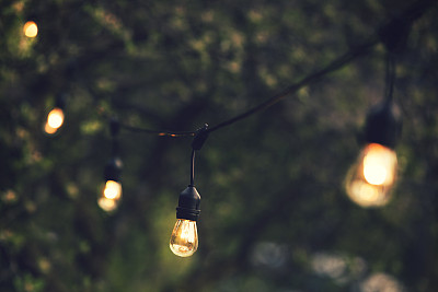 bulbs