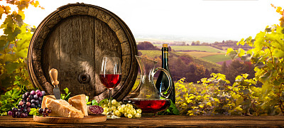 vineyard