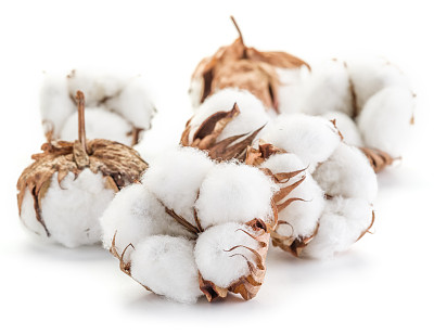 cotton