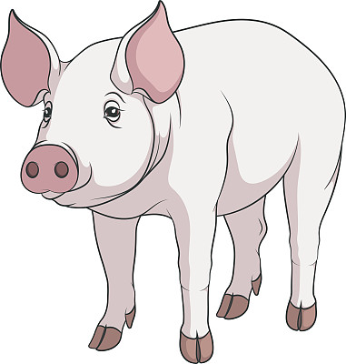 piggy