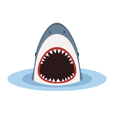 shark