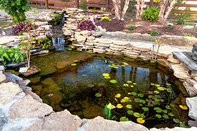 ponds