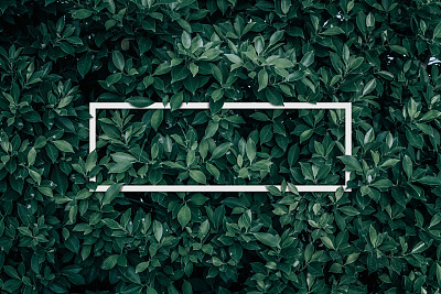 gren