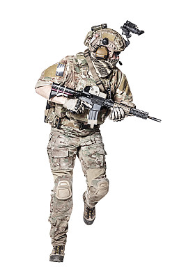 sas