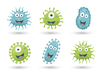 bacteria