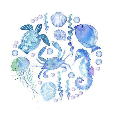 青蟹插画