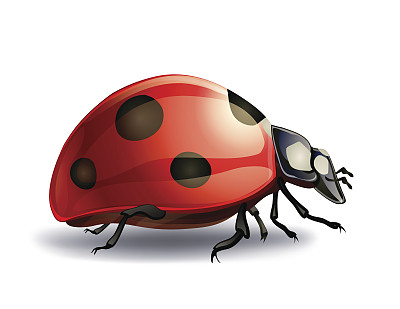 entomology