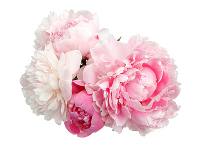 flowering