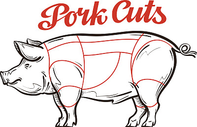 pig