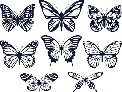 papilio