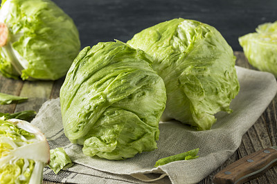 lactuca