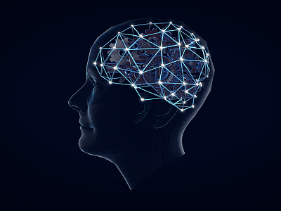 brain
