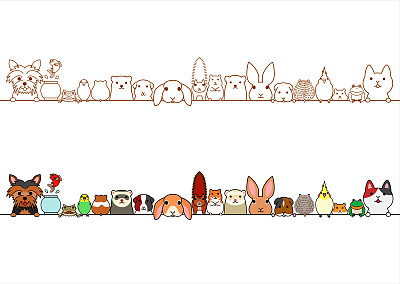 宠物猫宠物狗宠物店