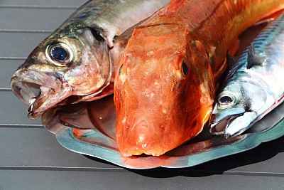 aji